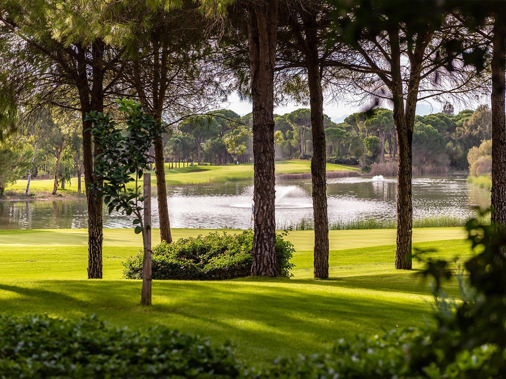 Unleash Your Golfing Dreams with par5escapes: Explore Exclusive Golf Packages in Turkey, Morocco, Spain, and Portugal